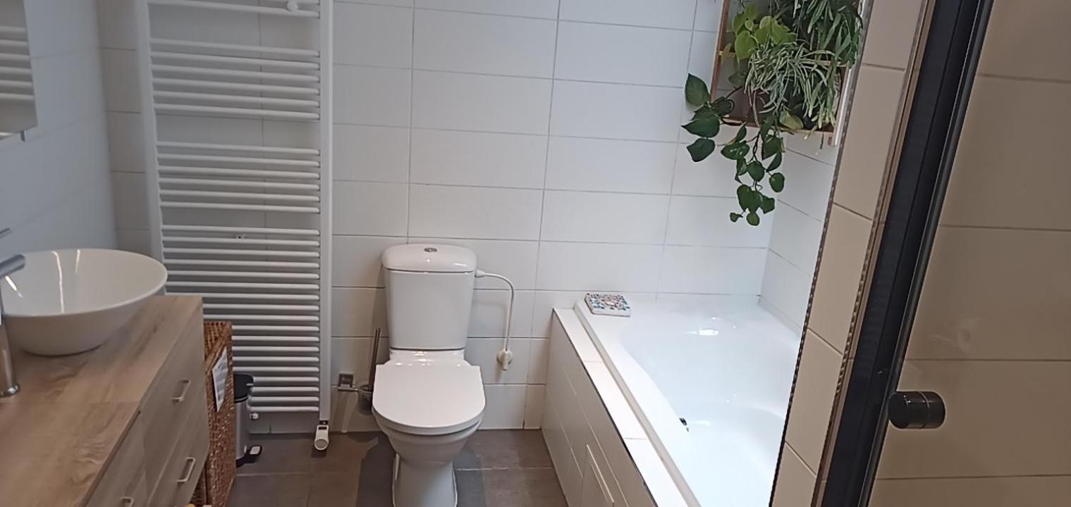 Lodgerivierenhof Antwerpen Eksteriør billede