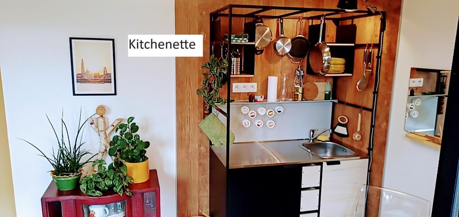 Lodgerivierenhof Antwerpen Eksteriør billede